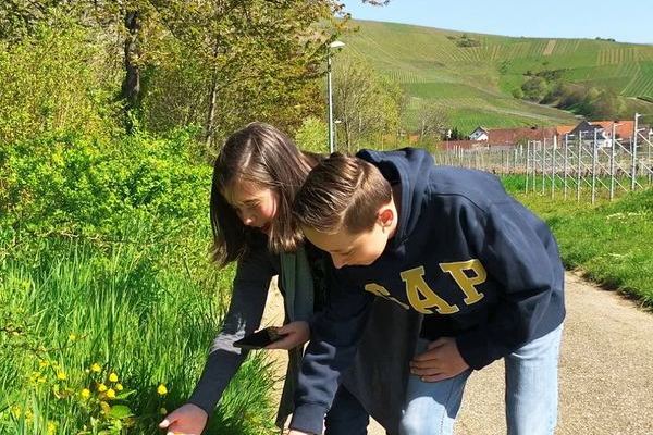 � Naturpark Schwarzwald Mitte/Nord