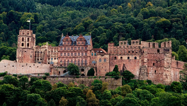 Einsaat am Schloss Heidelberg